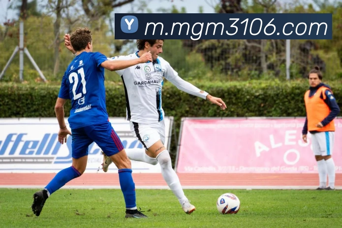 App 展示图